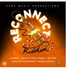 Various Artists - Reconnect Riddim