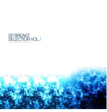 Various Artists - Selection Volume. 1