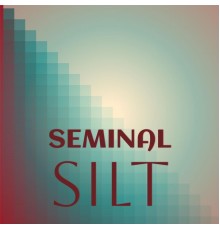 Various Artists - Seminal Silt