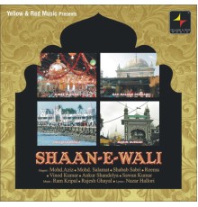 Various Artists - Shaan - E - Wali