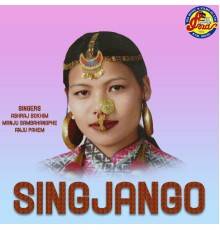 Various Artists - Singjango