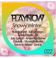 Various Artists - Snowy Winter Playnow