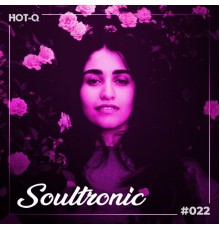 Various Artists - Soultronic 022