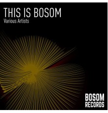 Various Artists - This Is Bosom