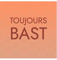 Various Artists - Toujours Bast