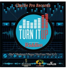 Various Artists - Turn It up Riddim