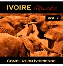 Various Artists - Variété Côte d'Ivoire Vol. 7