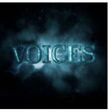 Various Artists - Voices