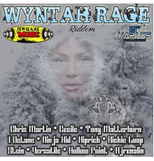 Various Artists - Wyntah Rage Riddim