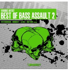 Various Artists - Best Of Bass Assault 2