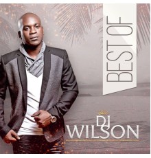 Various Artists - Best of DJ wilson