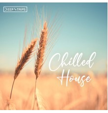 Various Artists - Chilled House