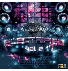 Various Artists - Electrified Vol.2