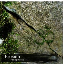 Various Artists - Erosion