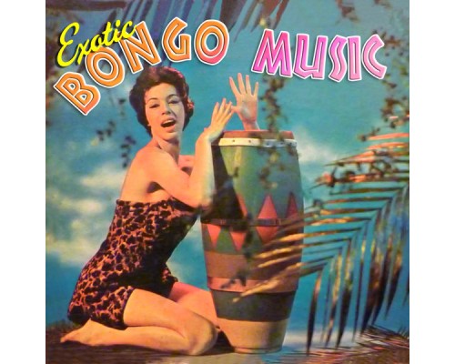 Various Artists - Exotic Bongo Music