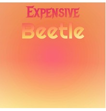 Various Artists - Expensive Beetle