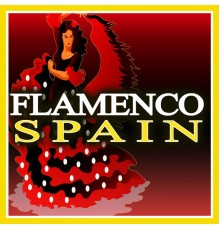 Various Artists - Flamenco Spain