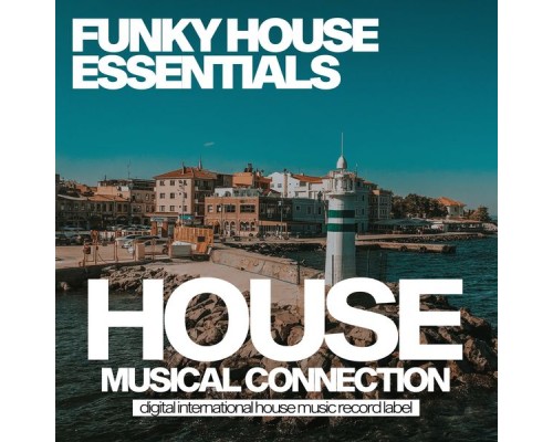 Various Artists - Funky House Essentials