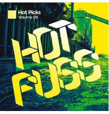 Various Artists - Hot Picks Vol.9