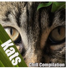 Various Artists - Kats (Chill Compilation)