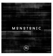 Various Artists - Monotonic, Vol. 13