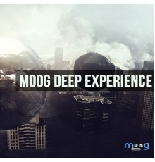 Various Artists - Moog Deep Experience