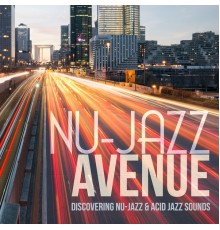 Various Artists - Nu-Jazz Avenue (Discovering Nu-Jazz & Acid Jazz Sounds)