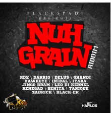 Various Artists - Nuh Grain Riddim