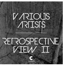 Various Artists - Retrospective View 2