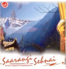 Various Artists - Saarangi Sehnai