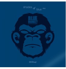 Various Artists - Shades of Blue #02
