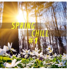 Various Artists - Spring Chill #1