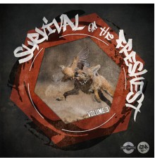 Various Artists - Survival of The Freshest, Vol. 3