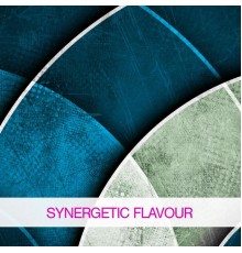 Various Artists - Synergetic Flavour