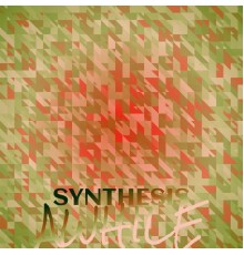 Various Artists - Synthesis Awhile