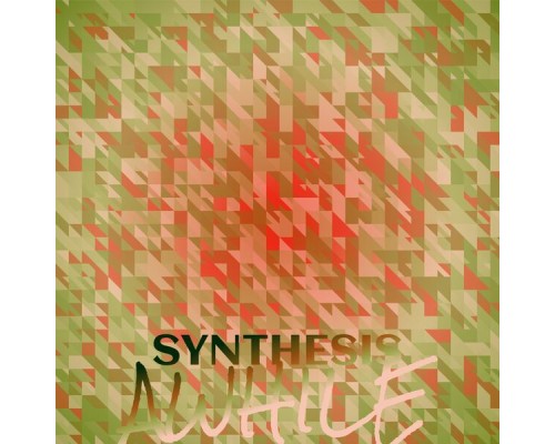 Various Artists - Synthesis Awhile