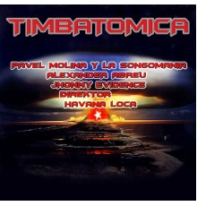 Various Artists - Timbatomica