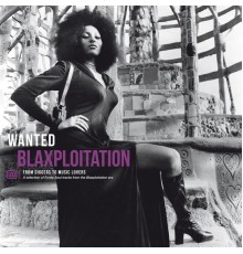 Various Artists - Wanted Blaxploitation: From Diggers To Music Lovers