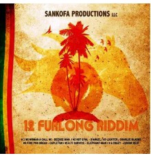 Various Artists - 12 Furlong Riddim