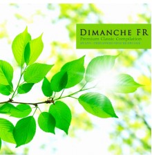 Various Artists - A Collection of Beautiful Luxury Classics That Are Good for Students to Study