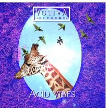 Various Artists - Acid Vibes