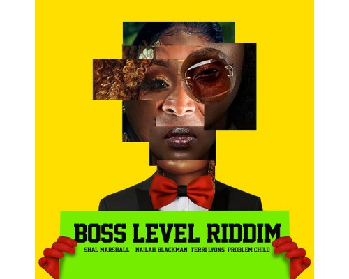 Various Artists - Boss Level Riddim