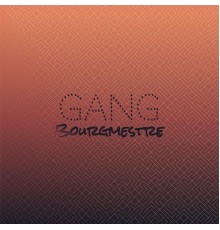 Various Artists - Gang Bourgmestre