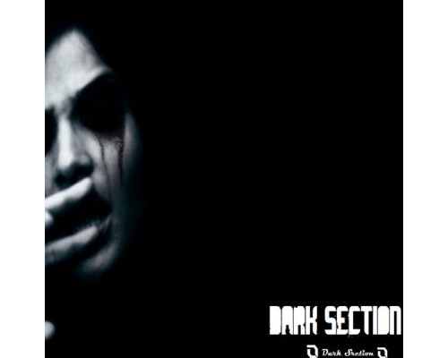 Various Artists - Hard Section