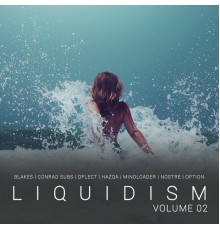 Various Artists - Liquidism, Vol. 2