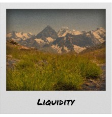 Various Artists - Liquidity