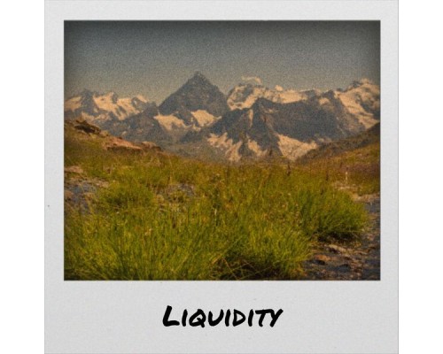 Various Artists - Liquidity