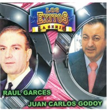 Various Artists - Los Exitos la Serie