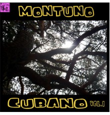 Various Artists - Montuno Cubano, Vol.1