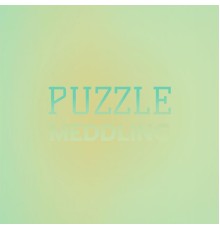 Various Artists - Puzzle Meddling